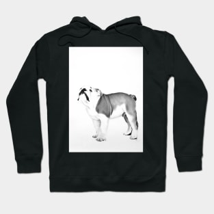 little dog looking up Hoodie